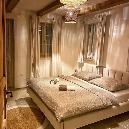 Treestudio Lipi
