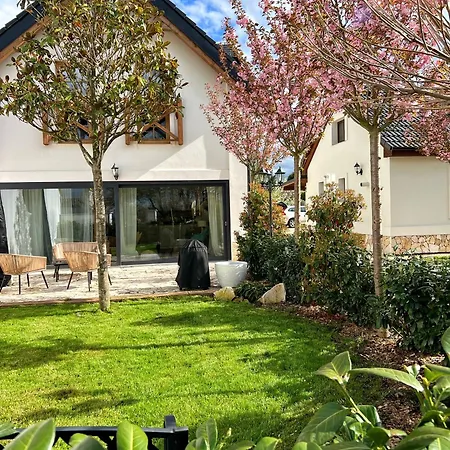 Treestudio Apartamento *